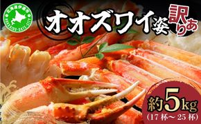 オオズワイ姿（訳あり品）5kg｜かに カニ ズワイガニ オオズワイ【ysk-003】
