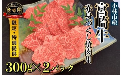 [直売・数量限定受付]A5等級 小林市産宮崎牛赤身づくし焼肉用 600g(内閣総理大臣賞4大会連続受賞 牛肉 黒毛和牛 宮崎牛 牛肉 お肉 焼肉)