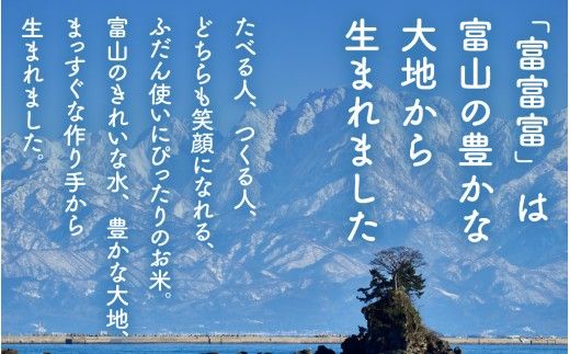 【令和7年産 新米】富富富＜ふふふ＞精米 5kg / お米 おこめ 米 ごはん 白米 ブランド米