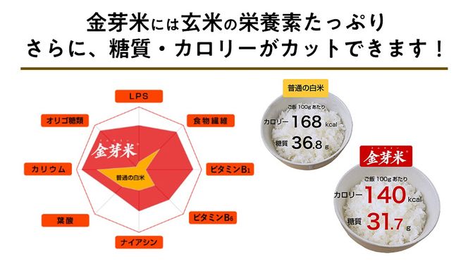 【 令和6年産・11月下旬発送 】【 金芽米 】 つくばみらい市産 コシヒカリ 5kg × 2袋 ( 計 10kg )  金芽米 きんめまい 米 お米 無洗米 茨城県 カロリーオフ 低カロリー 東洋ライス 節水 時短 アウトドア キャンプ [EK03-NT]