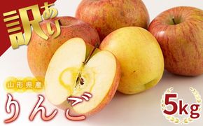 FYN9-913 【農業者支援】 加工用 山形県産 品種おまかせ りんご 約5kg くだもの フルーツ 林檎 リンゴ アップル 秋果実 生産者支援 農業者支援 支援品 自宅用 家庭用 訳アリ ワケアリ 数量限定 山形県 西川町 月山