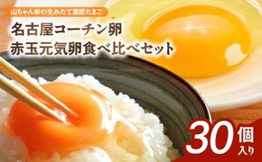 【山ちゃん家の生みたて葉酸たまご】名古屋コーチン卵・赤玉元気卵 食べ比べセット（各15個 合計30個入り）［132Y09］山ちゃん家 生みたて 葉酸たまご 名古屋コーチン卵 赤玉元気卵 食べ比べ セット 各 15個 合計 30個 入り 卵 地鶏 朝食 卵焼き 目玉焼き オムライス ゆでたまご 山田養鶏 お取り寄せ 愛知県 小牧市 送料無料
