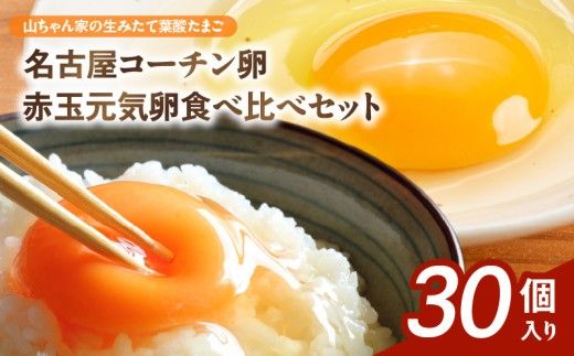 【山ちゃん家の生みたて葉酸たまご】名古屋コーチン卵・赤玉元気卵 食べ比べセット（各15個 合計30個入り）［132Y09］山ちゃん家 生みたて 葉酸たまご 名古屋コーチン卵 赤玉元気卵 食べ比べ セット 各 15個 合計 30個 入り 卵 地鶏 朝食 卵焼き 目玉焼き オムライス ゆでたまご 山田養鶏 お取り寄せ 愛知県 小牧市 送料無料