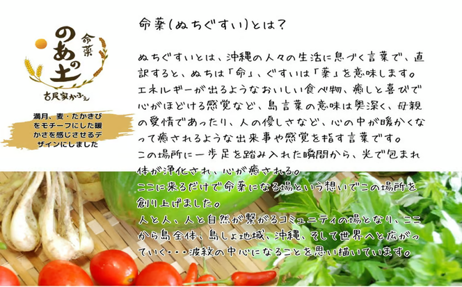 【ぬちぐすいvegan】島野菜＆薬草クッキー5種類詰め合わせ