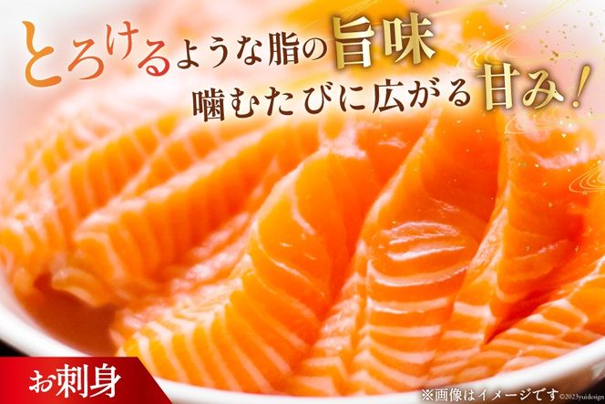 訳あり トロ サーモン ハラス フィーレ 刺身 無添加 2kg 個包装 [足利本店 宮城県 気仙沼市 20565619] 生食用 魚 魚介類 海鮮 さけ サケ シャケ 鮭 お刺し身 刺し身 はらす 鮭ハラス 骨取り 魚介 小分け 生食用 真空 真空パック