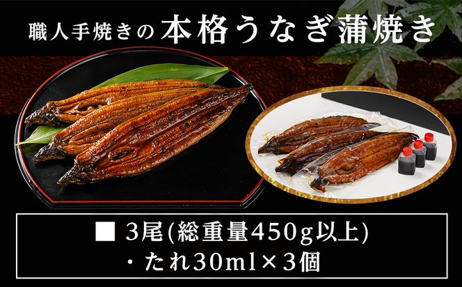 【丑の日】職人手焼きの本格うなぎ蒲焼き3尾≪7月20日～25日お届け≫_AC-33-003-3-UG 
