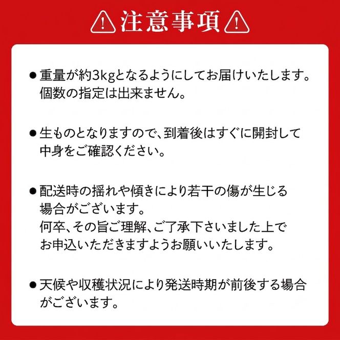 【先行予約】【数量限定】あい farm の梨 あきづき3kg (4～8玉) | 9月上旬より順次発送 梨 なし フルーツ 果物 新鮮 旬 梨園 益子町産 (DQ012)