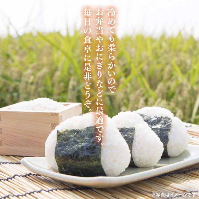 【谷田部農産】【特別栽培米】立神米こしひかり（白米）5kg｜茨城県 大子町 コシヒカリ 米 コンテスト 受賞 生産者 大子産米 産地直送 令和7年産（BT067）