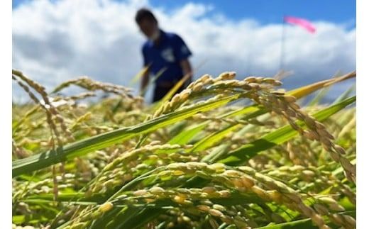 【先行予約】 米 令和8年 ゆめぴりか 玄米 30kg [JA新すながわ 北海道 砂川市 12260853] 令和8年産 お米 農協