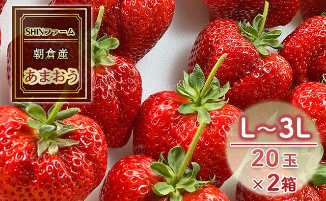 いちご 朝倉市産 あまおう L～3L 20玉×2箱 イチゴ 苺 果物 デザート ＜SHINファーム＞ ※配送不可：離島 