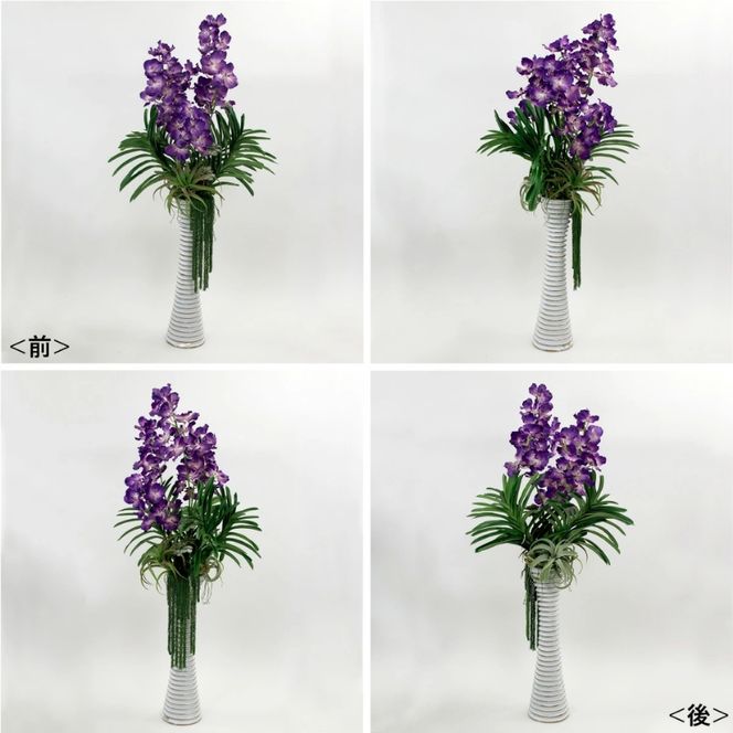 アートフラワー エミリオ・ロバ  バンダボタニックpu-5XL TTUUS13120