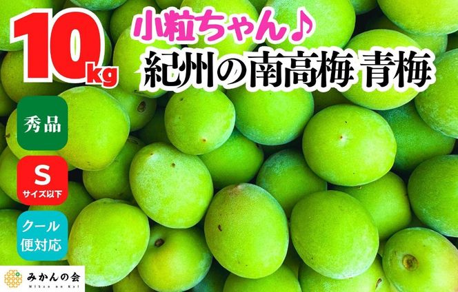 ［2026年6月上旬出荷］南高梅 青梅 秀品 小粒ちゃん 約10kg Sサイズ以下 和歌山県産 紀州有田 産地直送 クール便対応 梅酒作り用 梅ジュース作り用 AX393