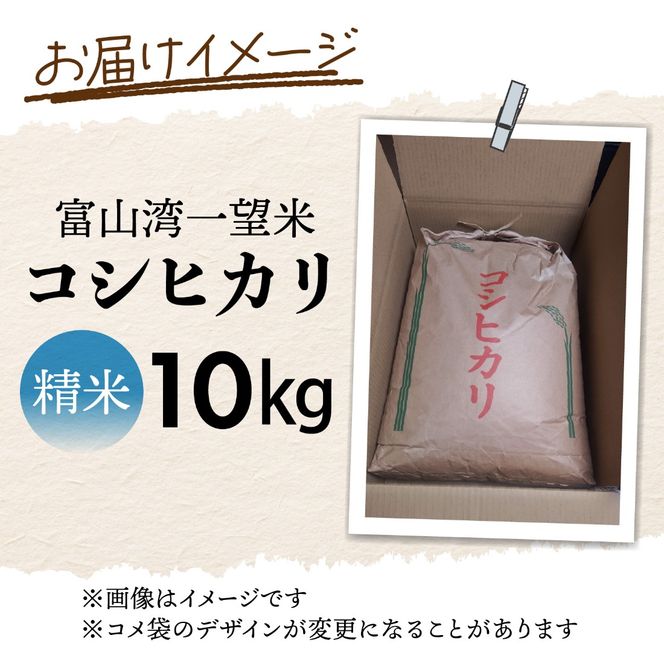 【先行予約】新米 富山湾一望米　コシヒカリ 精米 【容量10kg】【2025年10月より順次発送】