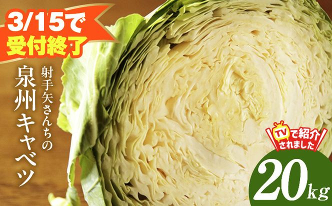 G3675 【3月15日受付終了】泉州キャベツ 20kg【新鮮 野菜 泉佐野産 やさい 射手矢農園 高評価 数量限定 スピード発送】