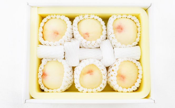 フルーツ 定期便 2026年 先行予約 フルーツ王国 岡山 ベストセレクト 2回コース 桃 もも 葡萄 ぶどう マスカット 岡山県産 国産 果物 セット ギフト 旬のフルーツ 果汁きめ細やか 岡山の白桃 晴王 