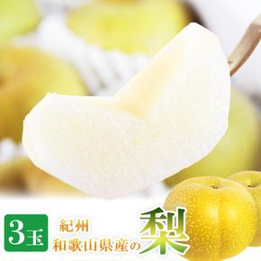 ジューシー果汁の紀州有田産の梨　３玉　化粧箱入【先行予約】【2026年8月中旬以降発送予定】AN030