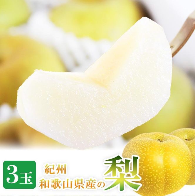 ジューシー果汁の紀州有田産の梨　３玉　化粧箱入【先行予約】【2026年8月中旬以降発送予定】AN030