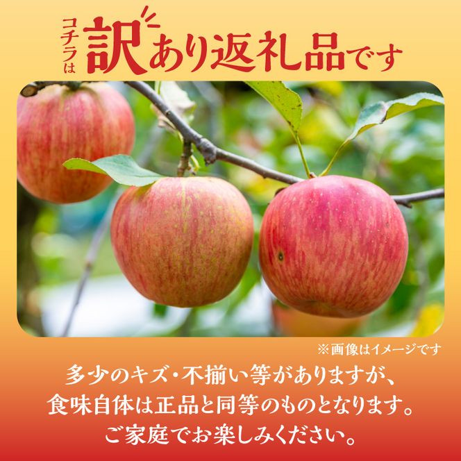 【2025年11月下旬より発送】フルーツ王国余市産訳あり「ふじ」5kg【ニトリ観光果樹園】_Y074-0154