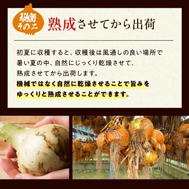 今井ファームの淡路島たまねぎ「かくし玉」5kgとたまねぎスープ10食