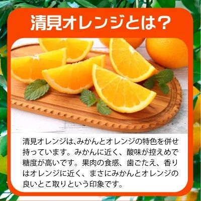 G7328_【2027年先行予約】とにかくジューシー 清見 オレンジ 2.5kg フルーツ 果物 柑橘 果実 甘い 果汁 ジューシー コク 柑橘の親 国産 食品 食べ物 魚鶴商店 平成の三大柑橘 お取り寄せ 和歌山県 湯浅町 送料無料
