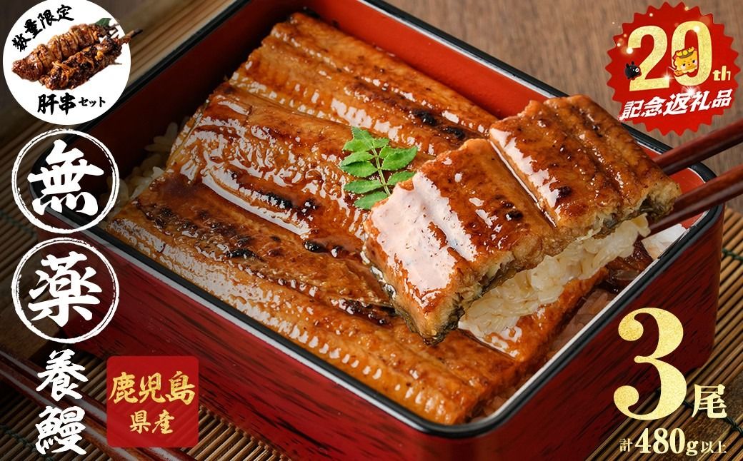[無薬養鰻] 鹿児島産 山田のうなぎ [計480g以上](160g以上×3尾) 肝串セット [ポータル限定] a6-062-km