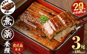 【無薬養鰻】 鹿児島産 山田のうなぎ ＜計480g以上＞（160g以上×3尾） 肝串セット 【ポータル限定】 a6-062-km