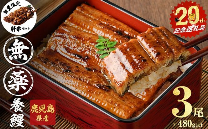 【無薬養鰻】 鹿児島産 山田のうなぎ ＜計480g以上＞（160g以上×3尾） 肝串セット 【ポータル限定】 a6-062-km