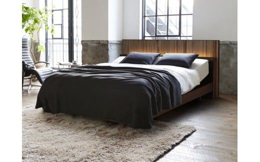 フランスベッド電動リクライニングBO-10（2モーター：背上げ・脚上げ）レッグタイプ　マットレス・手すり付き（ダブル）