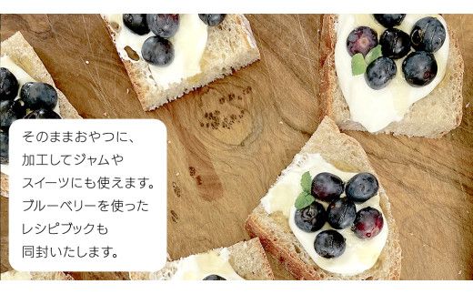 《 先行予約 》完熟 新鮮ブルーベリー 約1kg 【2026年6月上旬頃より発送開始】＜ 産地直送 ＞ ベリー 1kg 1キロ 甘い 甘酸っぱい 冷凍 大粒 おいしい 美味しい フルーツ 果物 くだもの おやつ 無農薬 農薬不使用 お取り寄せ お土産 贈り物 贈答 ギフト 国産 茨城 農園 [BK001us]