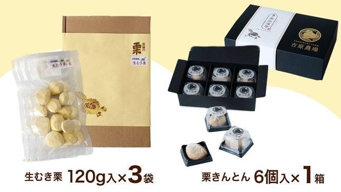 【 吉原農場 の 完熟栗 】 熟成 生むき栗 3袋・栗きんとん 1箱 セット 令和7年産 栗の深雫 完熟  むき栗 くり クリ 栗ごはん おかし お菓子 果物 フルーツ 数量限定 旬 秋 冬 正月 おせち [CX024ci]
