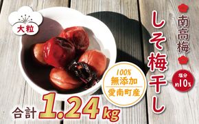 数量限定 南高梅 大粒 しそ漬け 梅干し 1.24kg 塩分 約 10% 8000円 無選別 家庭用 梅 梅干 うめぼし うめ ウメ シソ 紫蘇 1kg 以上 国産 漬物 つけもの ピクルス おかず 常備 保存 無添加 産地直送 自然派 農家直送 小分け 便利 ささなピクルス 愛南町 愛媛県