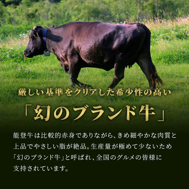 肉【和牛セレブ】能登牛 牛ロース すき焼き・しゃぶしゃぶ 500g ロース 黒毛和牛 霜降り ギフト 石川県 能美市 172111_DB013