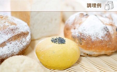 【全6回定期便】特別栽培 小麦 使用 伊都 の みのり( 500g × 2袋 )糸島市 / 天然パン工房楽楽【いとしまごころ】 [AVC067]