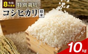 令和8年産 特別栽培米 コシヒカリ 白米 10kg 静岡県産 色彩選別済 食に意識高い方へオススメ