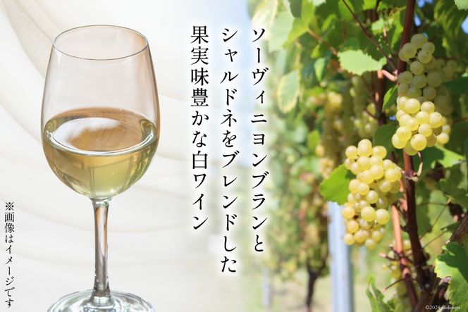 白 ワイン フェリーチェ ビアンコ 750ml 4本 [Poggio Verde（ポッジョ ヴェルデ） 長野県 池田町 48110682] 白ワイン わいん 国産ぶどう使用 お酒 酒 アルコール