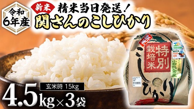 《 特別栽培米 》 令和6年産 精米日出荷 関さんの「 こしひかり 」 4.5kg × 3袋 ( 玄米時 15kg ) 新鮮 コシヒカリ 精米 米 こめ コメ 特別栽培農産物 認定米 新米 [AM082us]