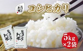 149.日置さん家のお米「コシヒカリ」5kg×2袋【無洗米・2025年産】 313726_AE005VC03