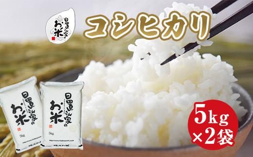 149.日置さん家のお米「コシヒカリ」5kg×2袋【無洗米・2025年産】 313726_AE005VC03