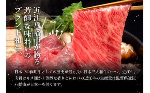 【げんさん】近江牛A5ランク焼肉・すき焼セット【800g】【DG11W1】