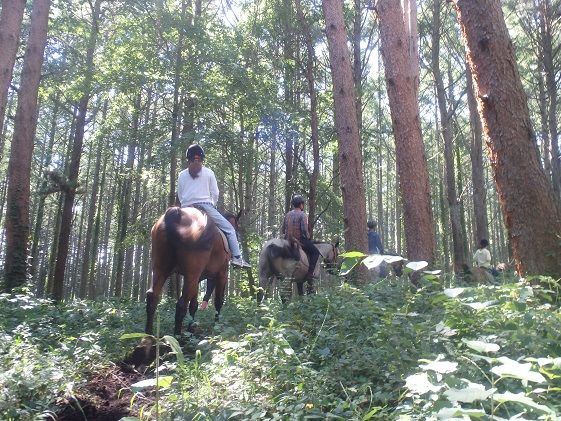 乗馬 体験 まきば軽井沢 まったり100分 乗馬体験 1名様 体験チケット 馬 自然