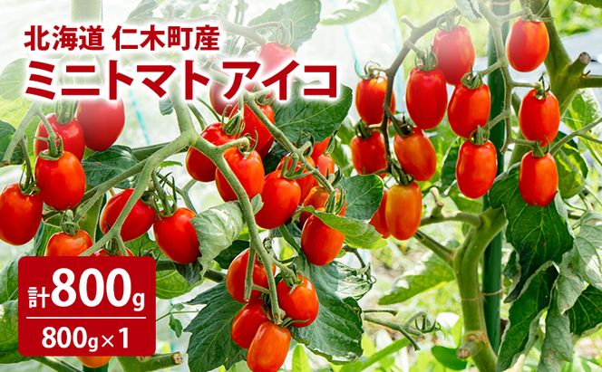 [先行受付] 北海道 仁木町産 ミニトマト アイコ 800g [林果樹園]【トマト ミニトマト アイコ 高糖度 フルーツトマト 赤 サラダ パスタ スープ 常備菜 産地直送 旬 健康 リコピン ビタミンC 美容 ダイエット】
