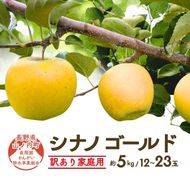 【2026年10月～発送】シナノゴールド 訳あり家庭用 約5kg 12～23玉 りんご 果物 訳あり 信州 長野