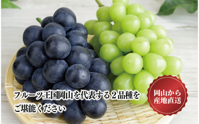 【2026年先行予約】シャインマスカット＆ニューピオーネ 3-5房/計2.0kg~ (岡山県産) ぶどう セット 食べ比べ 【KF-B070-03】
