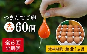 【 全6回 定期便 】つまんでご 卵 60個 定期便（月1回）糸島 / 緑の農園 [AGA015] ランキング 上位 人気 おすすめ