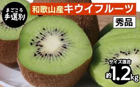 【先行予約】 キウイフルーツ 秀品 約1.2kg サイズ混合 和歌山県産