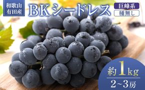 ［先行予約］和歌山 有田産 種なし BKシードレス 約1kg 2～3房 ［2026年8月下旬より順次発送予定］ DU05