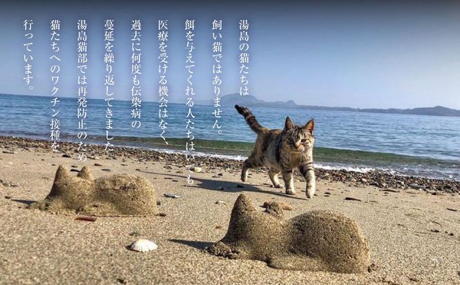 ねこの島！湯島！オリジナルポストカード【地域猫活動支援】 猫 ねこ ネコ オリジナルグッズ ポストカード 2種 セット 猫島 猫の島 湯島 熊本県 上天草市