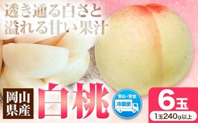 先行受付 岡山県産 白桃 1玉 240g以上 6玉入り ロイヤル 《7月中旬-8月下旬頃出荷》 【配送不可地域あり】---H-65---