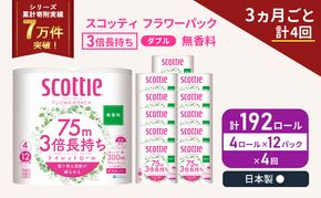 定期便 トイレットペーパー ダブル スコッティ 3倍長持ち 4ロール入 × 12パック フラワーパック 無香料 《 3ヶ月ごと 計  4回 》