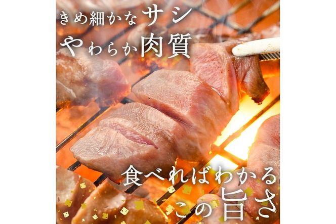 厚切り 塩味 牛タン (計600g) 小分け 牛肉 肉 タン 牛たん 味付け 焼肉 塩 BBQ 冷凍 大分県 佐伯市【DH262】【(株)ネクサ】